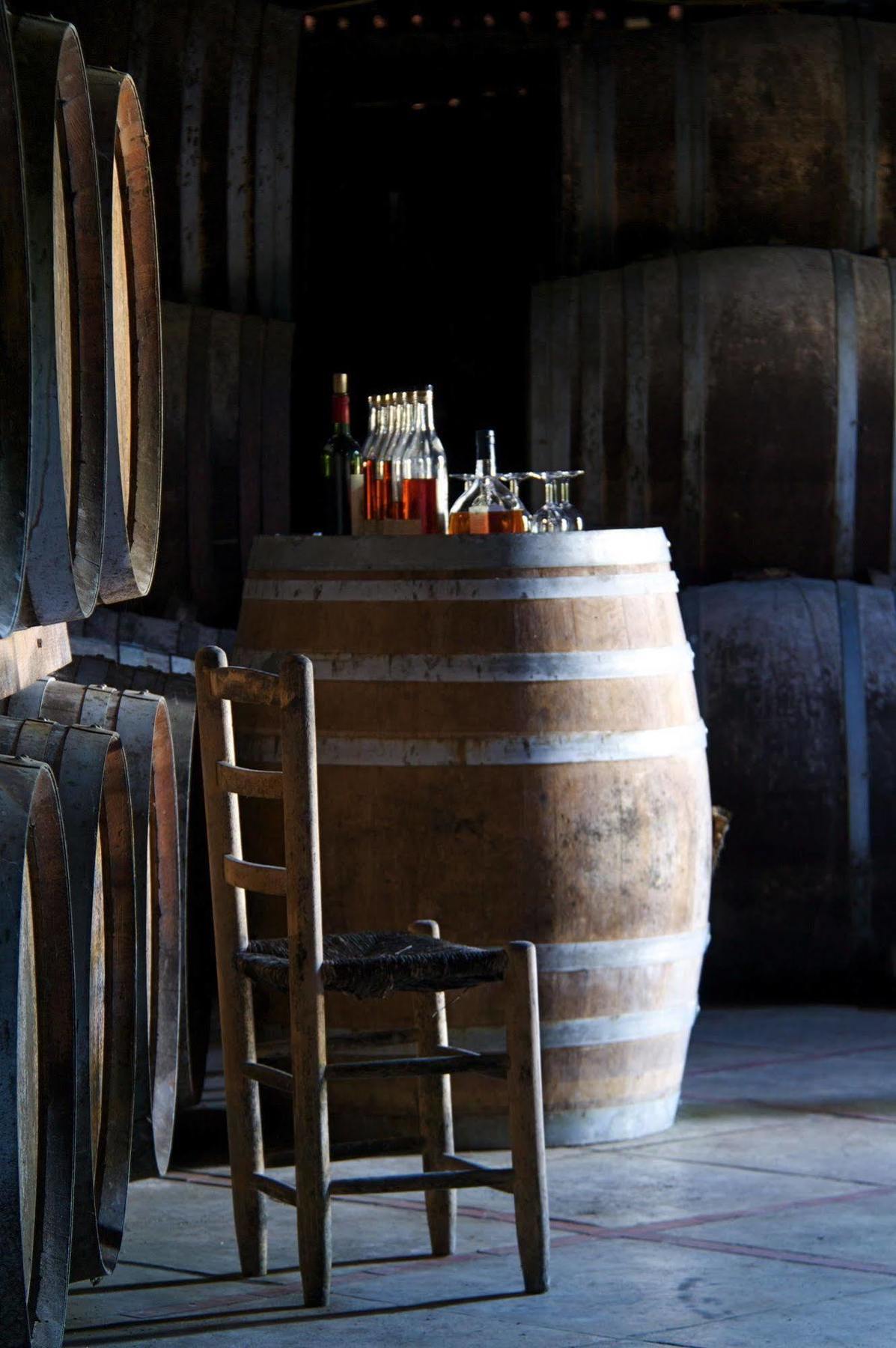 巴布通莱班 La Bastide En Gascogne酒店 外观 照片